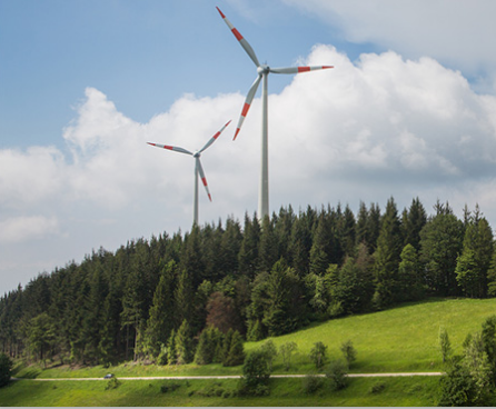 Wind und Wort - Diskussion zu Windkraft im Wald am Freitag, den 21. Juni 2024 in Heidelberg