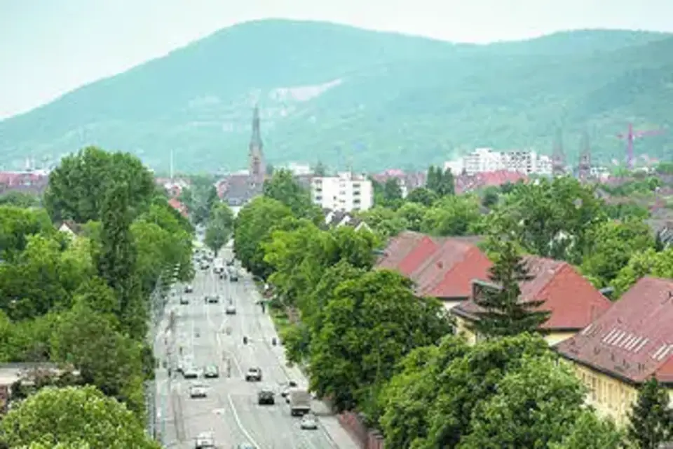 "Was wird aus der Römerstraße?", Artikel in der RNZ am 23. Februar 2013