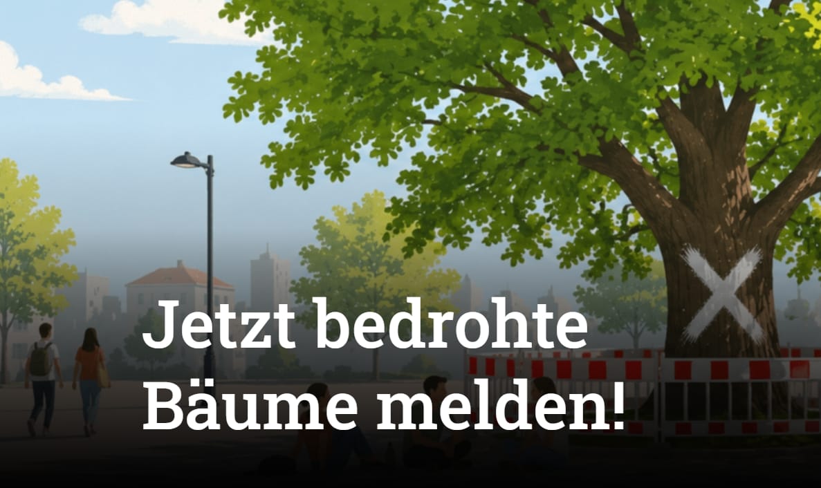 Bäume vor Fällung schützen