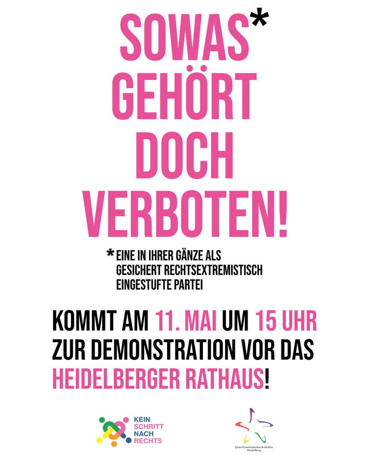 Demo gegen AFD am Sonntag, den 11. Mai 2025 in Heidelberg