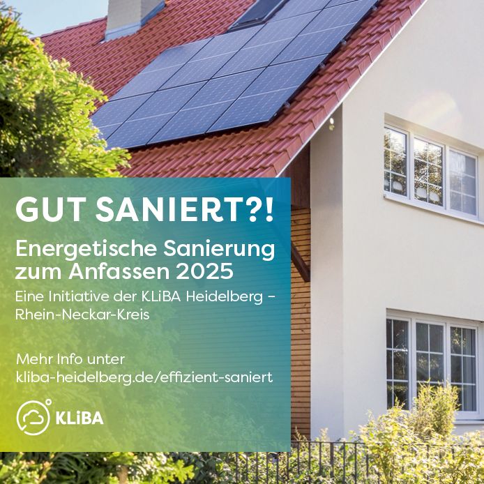 Workshop Sanierung 65+ in Eberbach