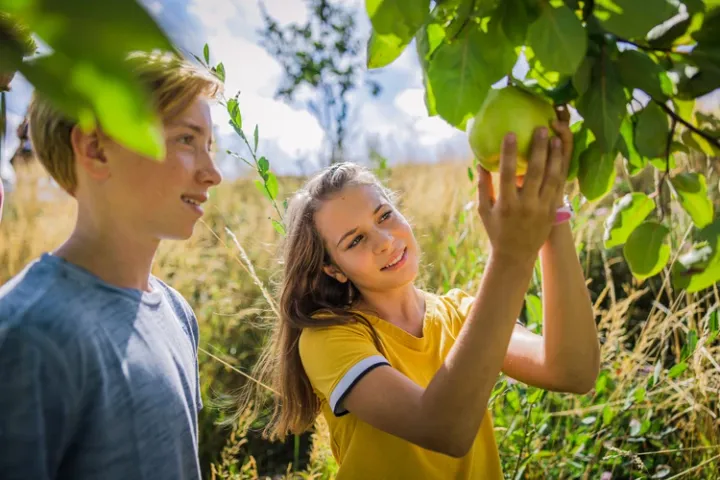 Tag der offenen Tür in der Klima-Arena am Sonntag, den 15. März 2026 in Sinsheim