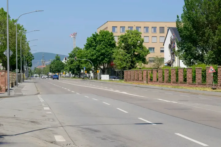"Baumreihe in der Römerstraße soll 2025 kommen", Artikel in der RNZ am 7. Juni 2023