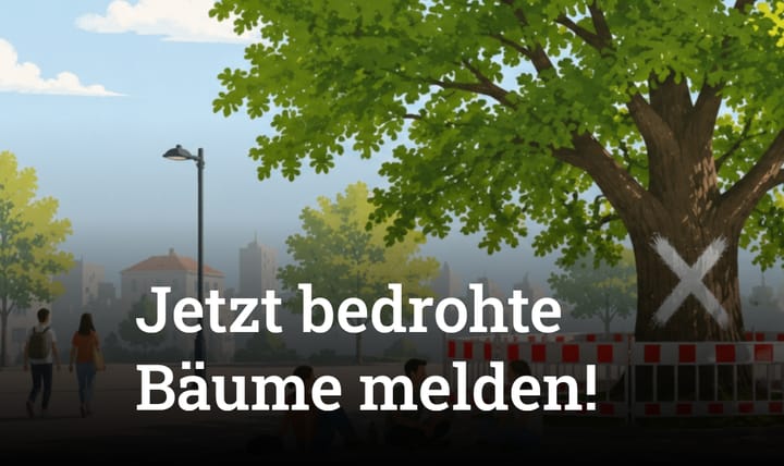 Bäume vor Fällung schützen